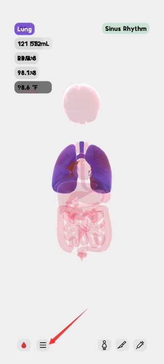 生命模拟器截图2