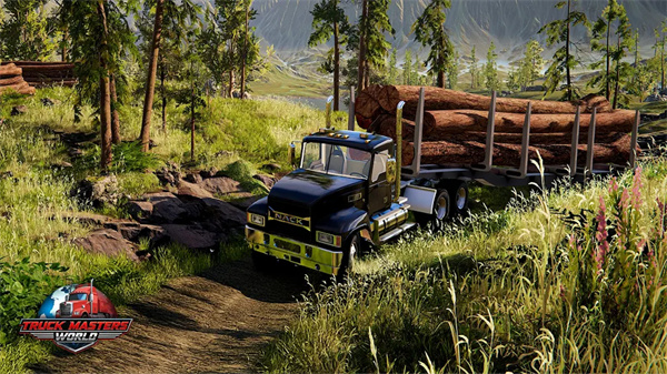 卡车大师：世界模拟器安装器官方版截图4