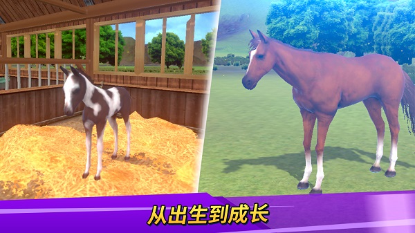 德比生活（Derby Life）截图4