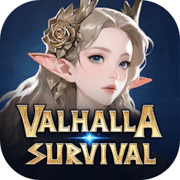 瓦尔哈拉生存国际服