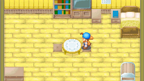 牧场物语：矿石镇的伙伴们截图1