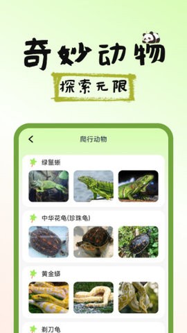 图图宠物百科app截图2