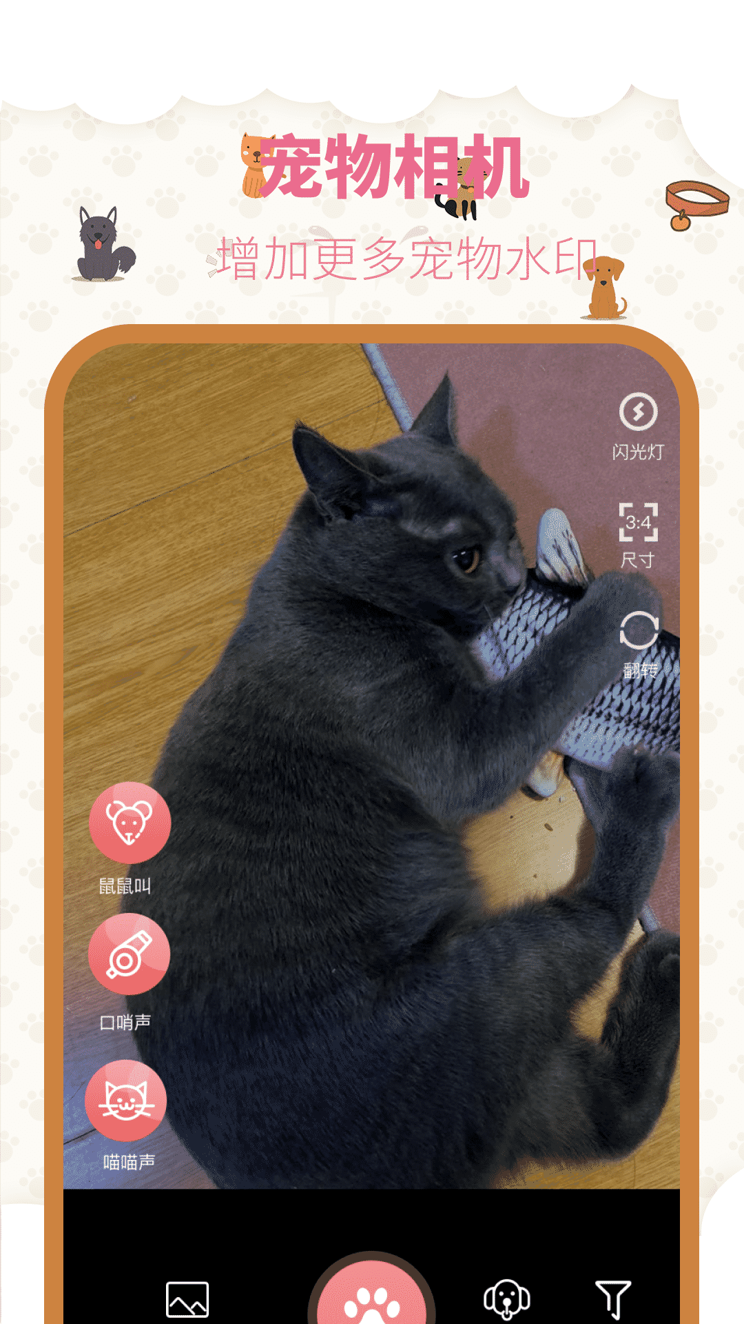 宠物翻译app截图3