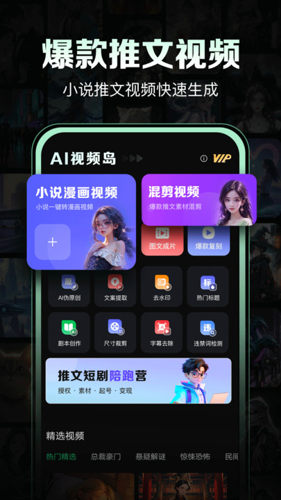 AI视频岛软件截图2