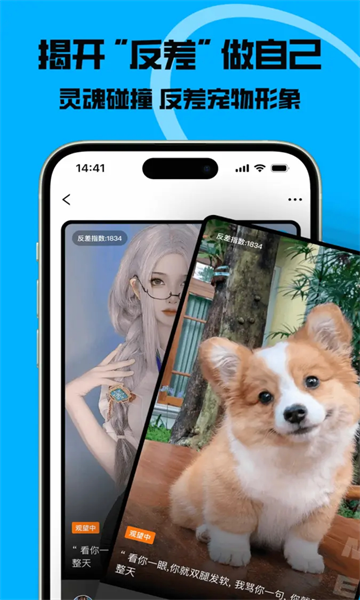 猫匿最新版截图2