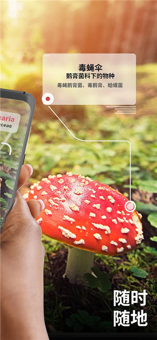 Picture Mushroom软件图3