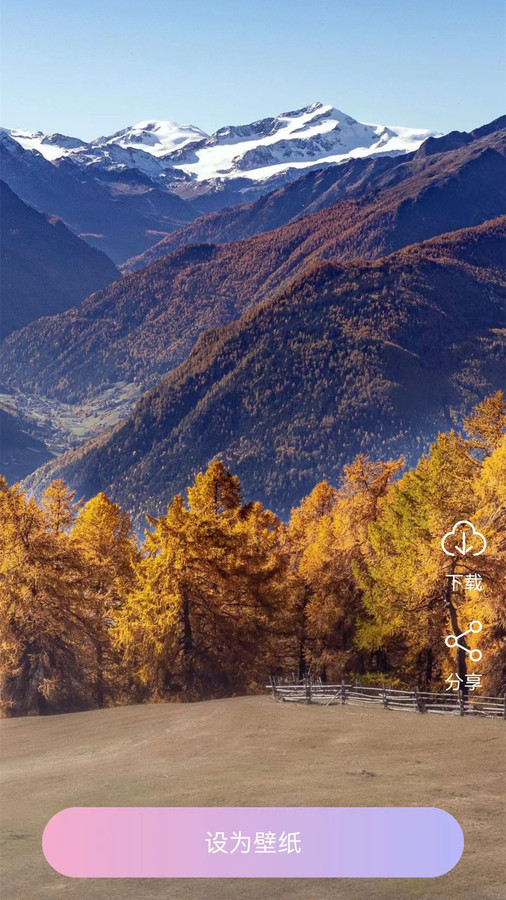 高清动态壁纸免费版截图2