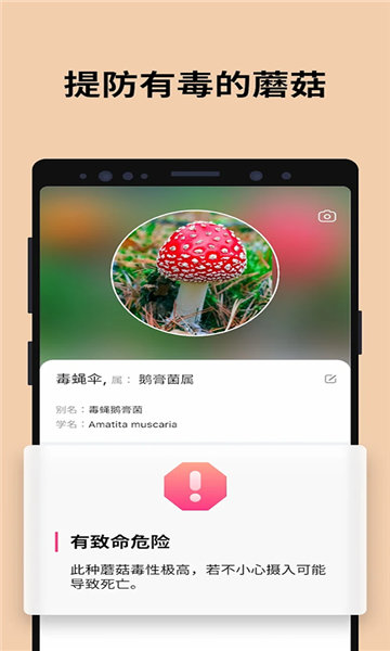 Picture Mushroom软件图2