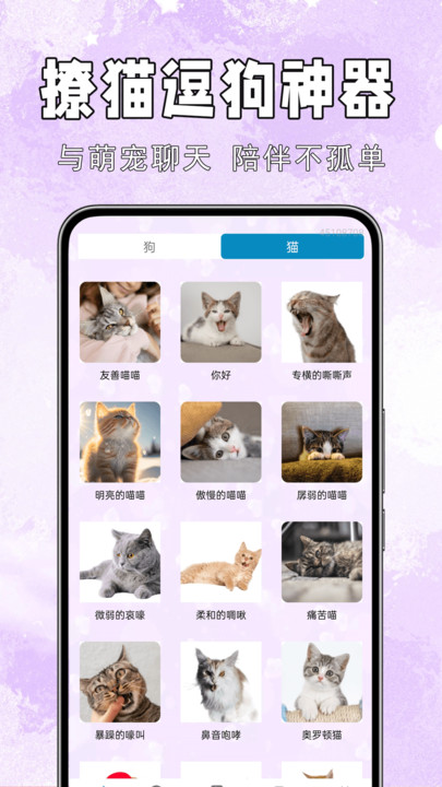 手机猫狗交流通app截图1