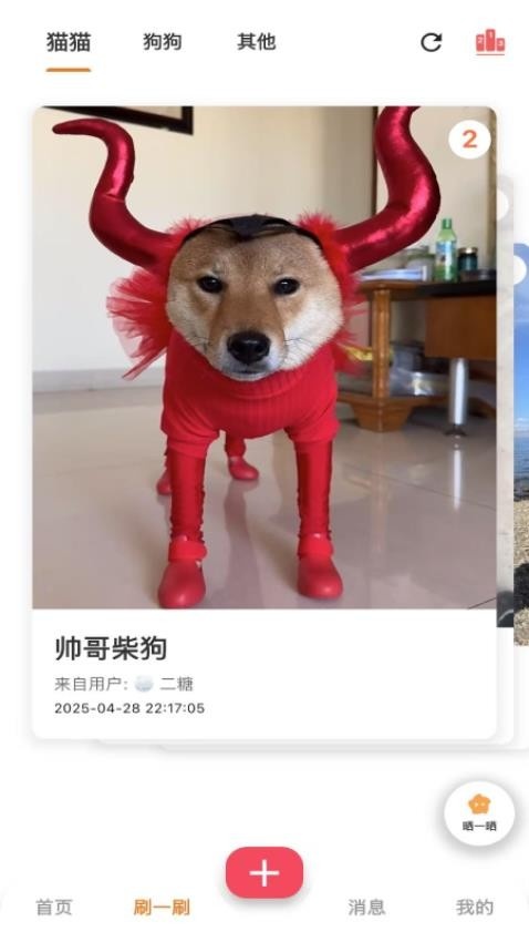 爪爪巴士app截图4