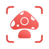 Picture Mushroom软件