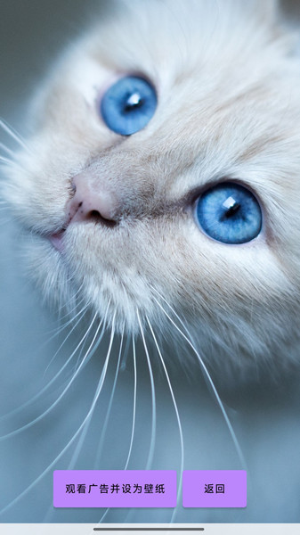 英联智科壁纸软件截图3