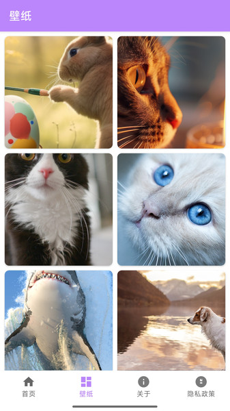 英联智科壁纸软件截图4