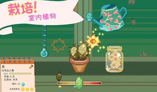 窗边花园（Window Garden）图6