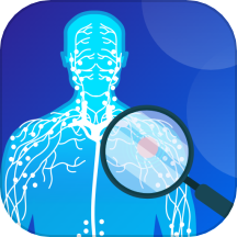 经络图解手机版