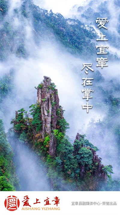 爱上宜章app截图2