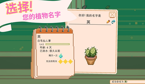 窗边花园（Window Garden）图5