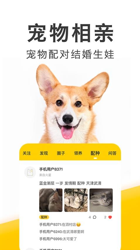 有只宠物app截图2