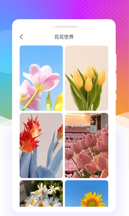 元气口袋壁纸免费版截图3