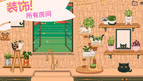 窗边花园（Window Garden）图2