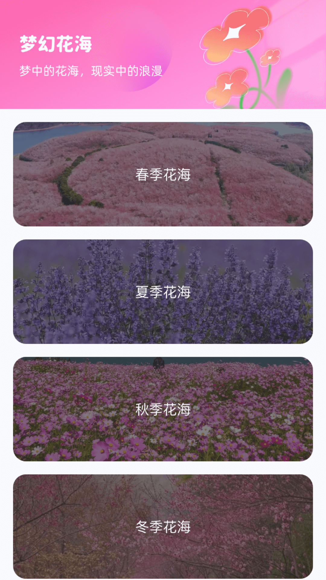 花海寻梦app截图2