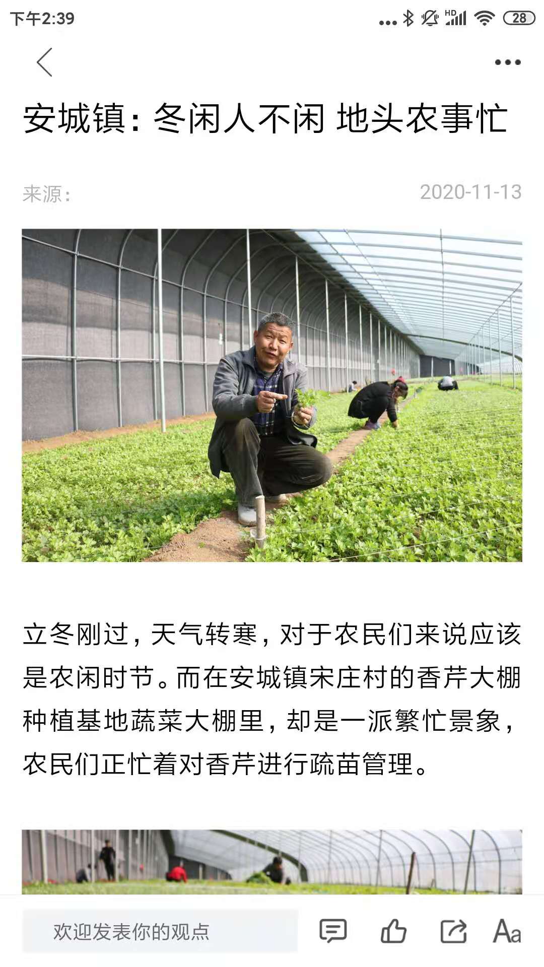 爱平阴官网版截图3