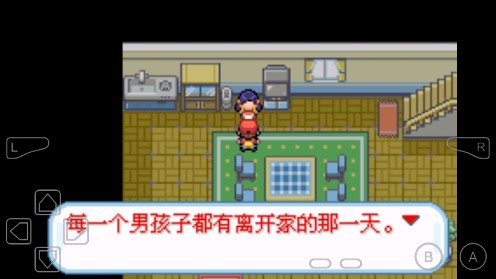 口袋妖怪 绝望绿图3