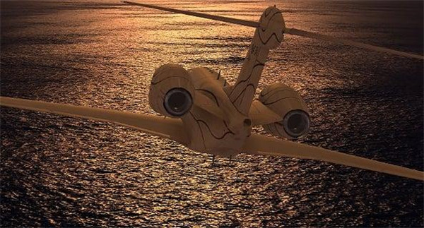 Infinite Flight游戏截图1