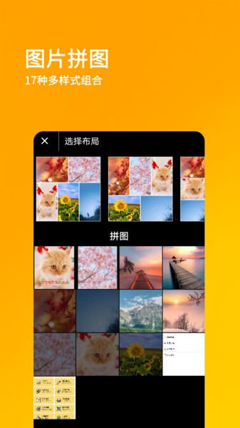 刷圈王最新版图3