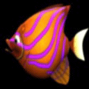 BigFishEatSmallFish游戏