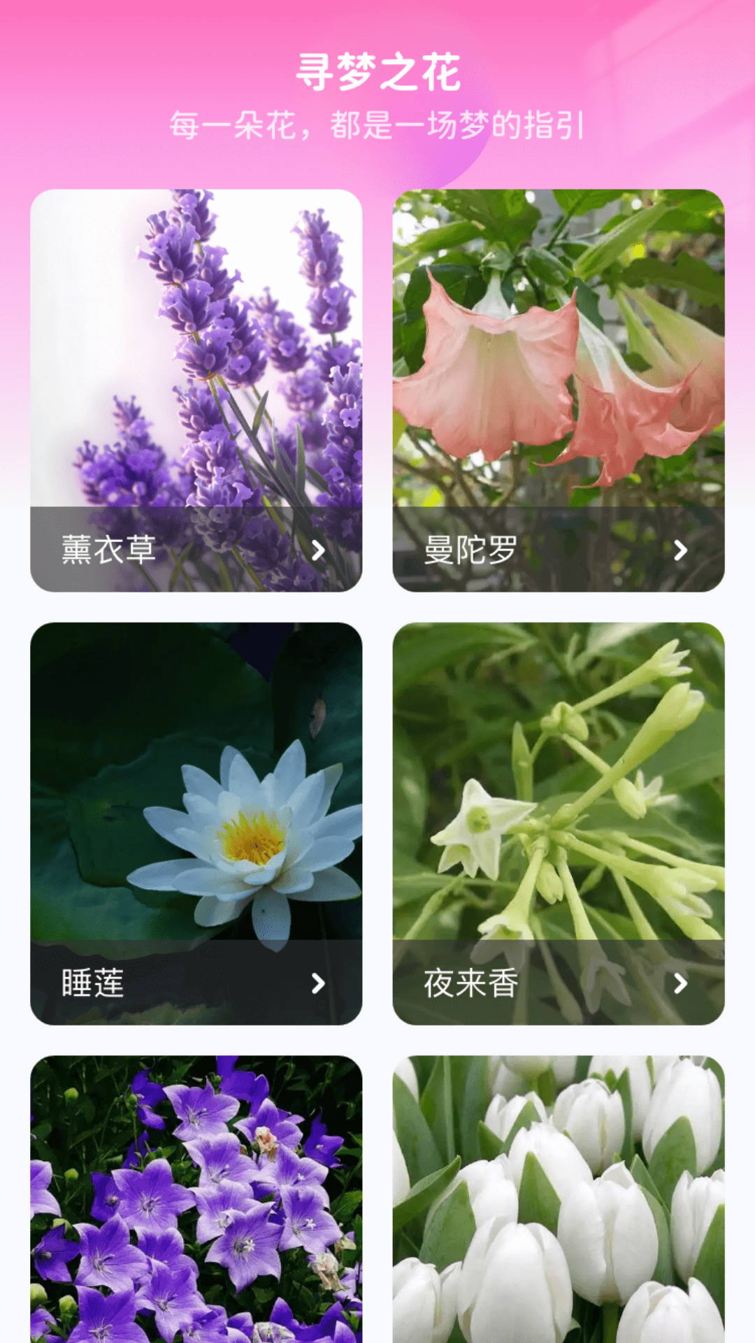 花海寻梦app截图3
