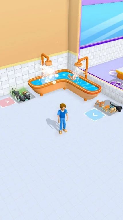 Pet Groomer游戏图3
