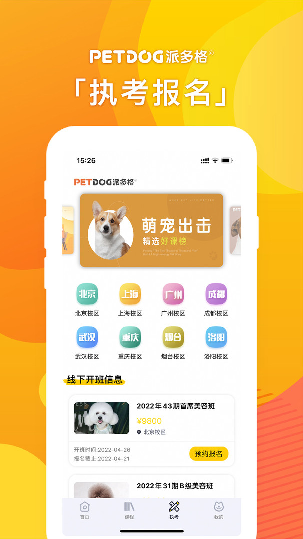 派多格宠物图1