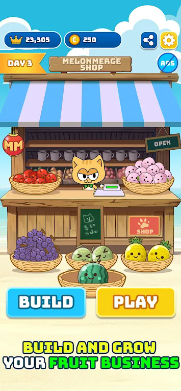 水果大亨西瓜合并游戏(melonmerge)图2