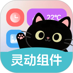 灵动皮肤小组件app