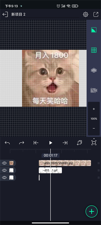alight motion正版图2