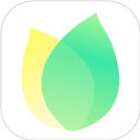 飞火动态壁纸app