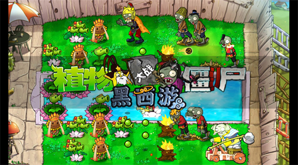 植物大战僵尸黑西游版图1