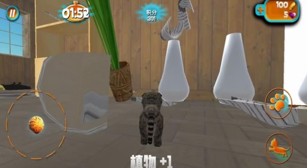 奶奶贴心小猫图2