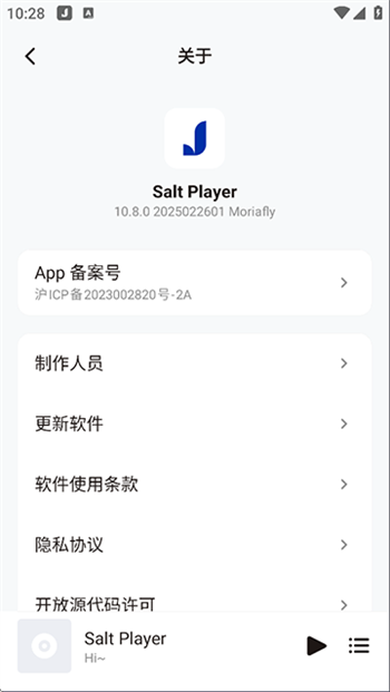 Salt Player图3