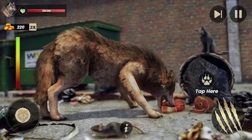 野狼生活模拟器WildWolfLifeSimulatorGame图3