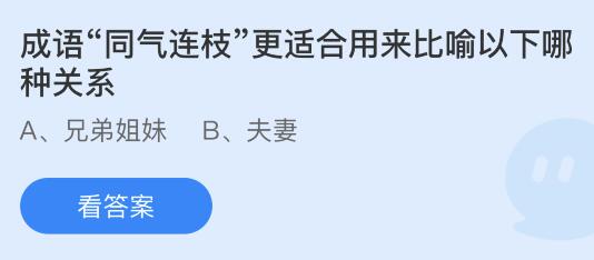 成语同气连枝更适合用来比喻以下哪种关系