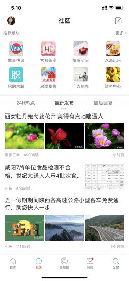 咸鱼网图3