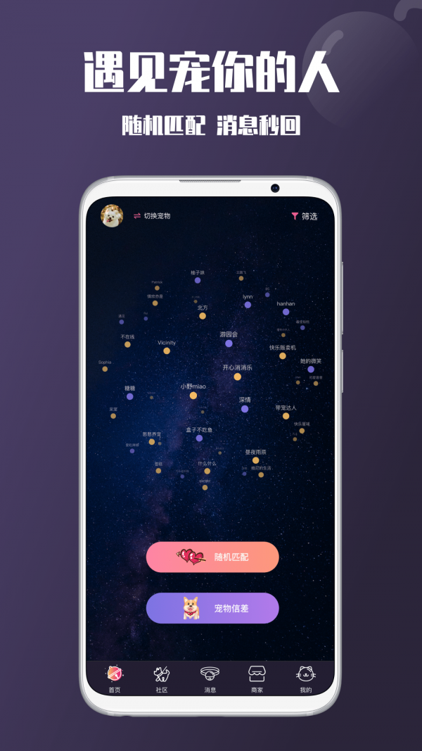 憨憨宠物图1