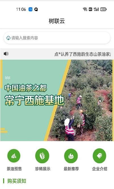 树联云网图2