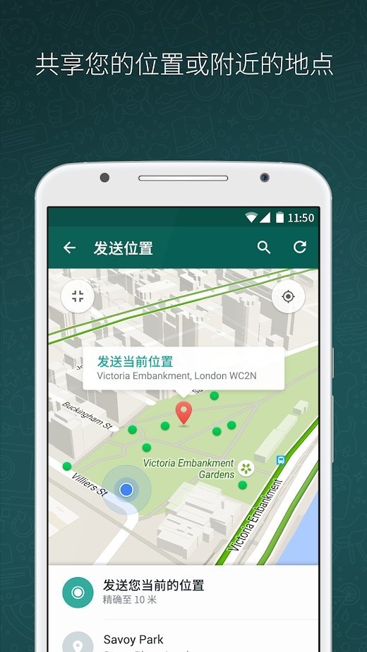 whatsapp安卓手机版图3