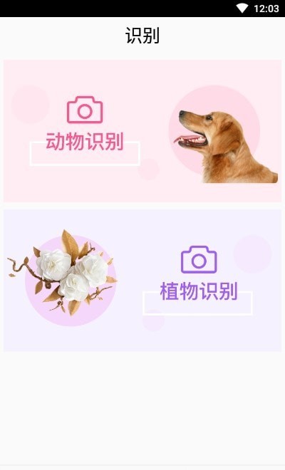 灵通植物识别图2