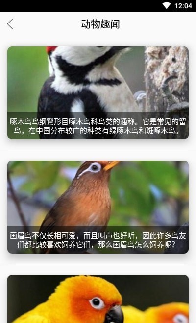 灵通植物识别图3