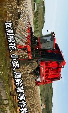 模拟农场20MOD国产卡车图2