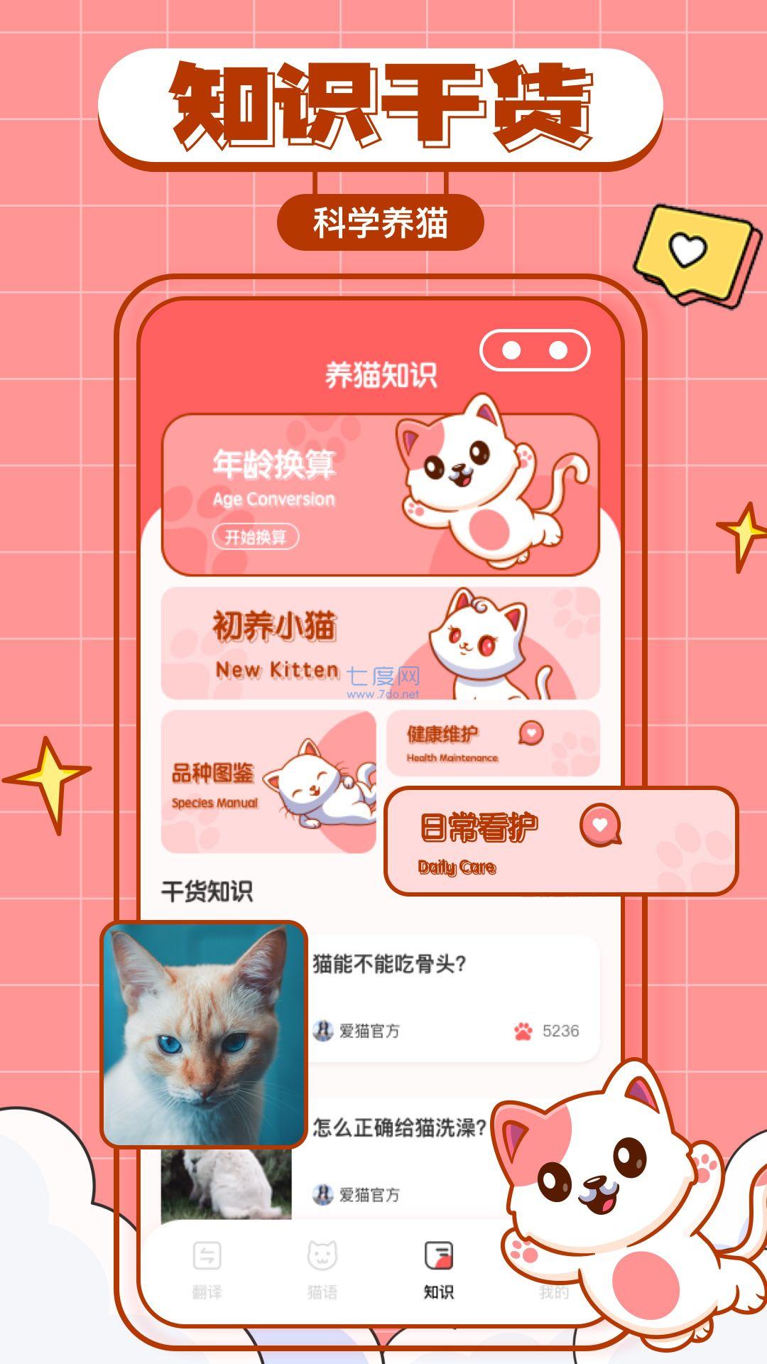 猫咪翻译物语图1